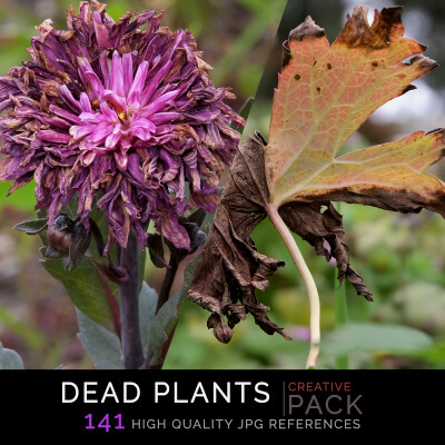 Dead Plants photo pack