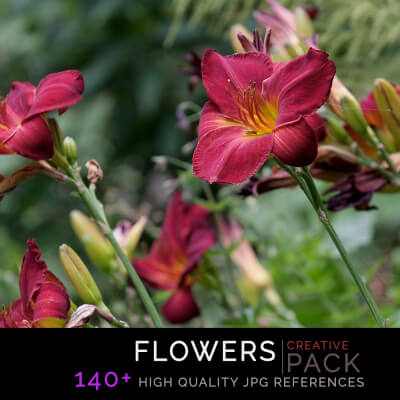 Flowers photo pack