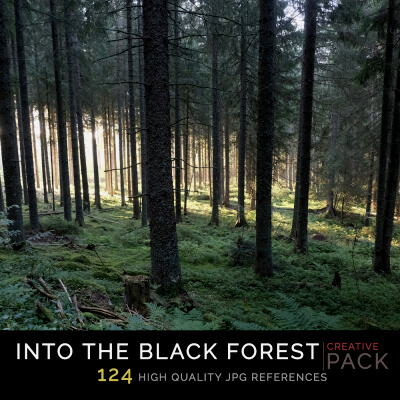 Into the black forest