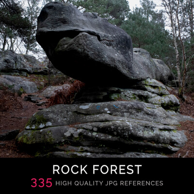 Rock Forest Photo Pack