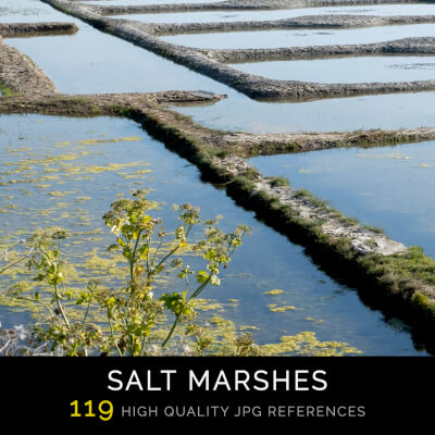 Salt Marshes Photo Pack