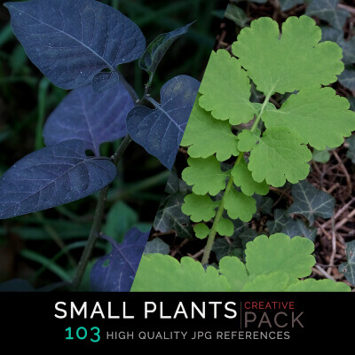 Small Plants