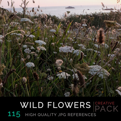 Wild Flowers