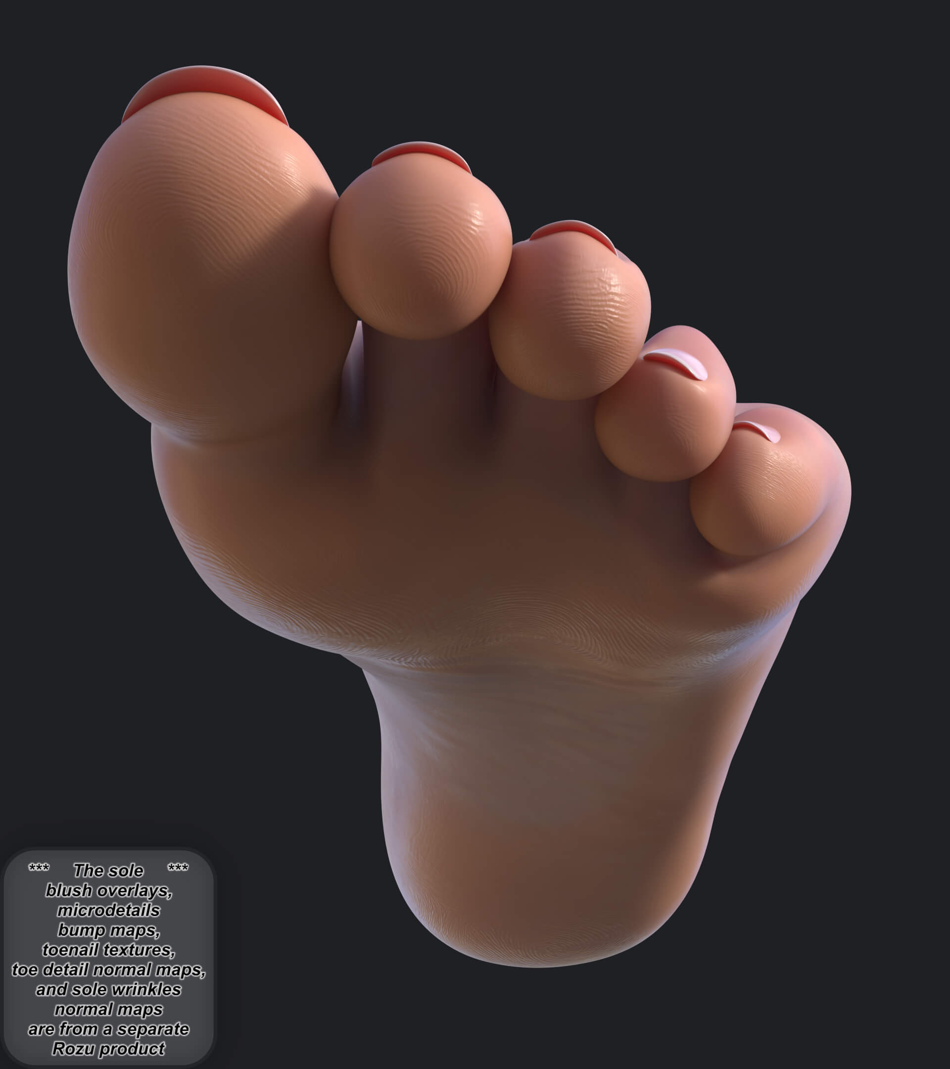 Rozu Genesis 9 Foot Morphs Pack Daz Content