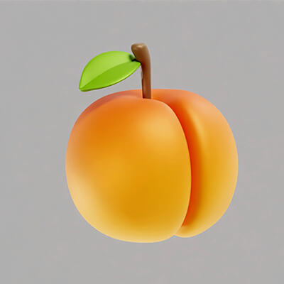 Apricot Realistic