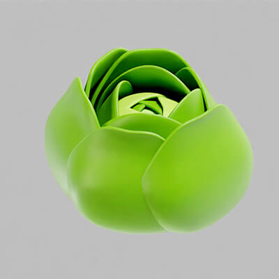 Cabbage Green