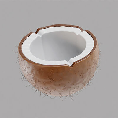 Coconut Inner