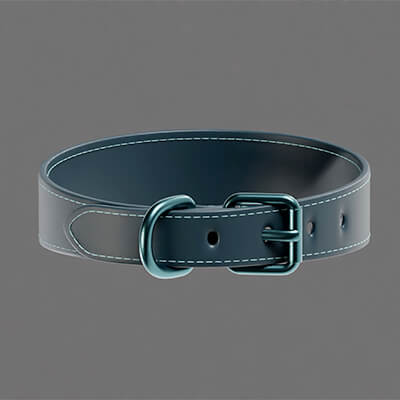 Dog Collar Realistic