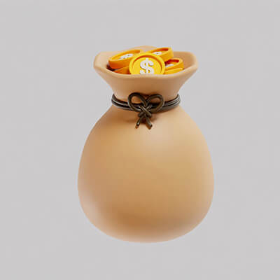 Money Bag Coin