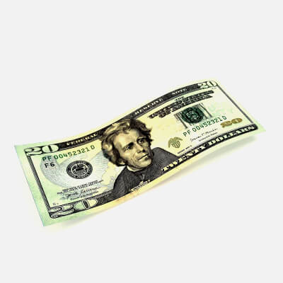 20 DOLLAR Banknote