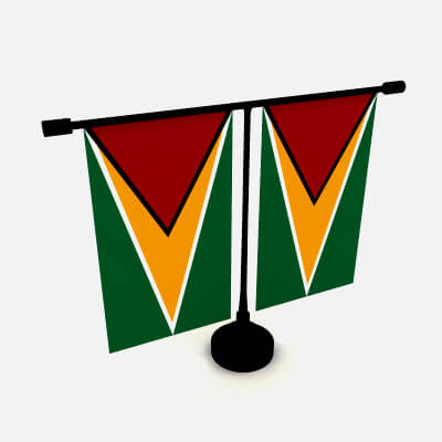 Flag of Guyana