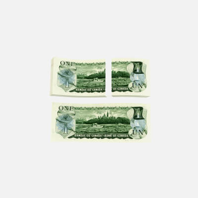 One Dollar Canada 1973 Back