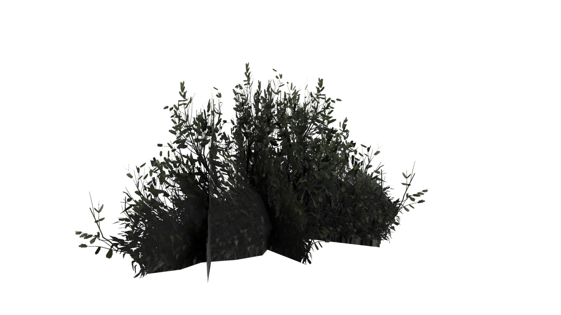 Middle Plant 3D Model