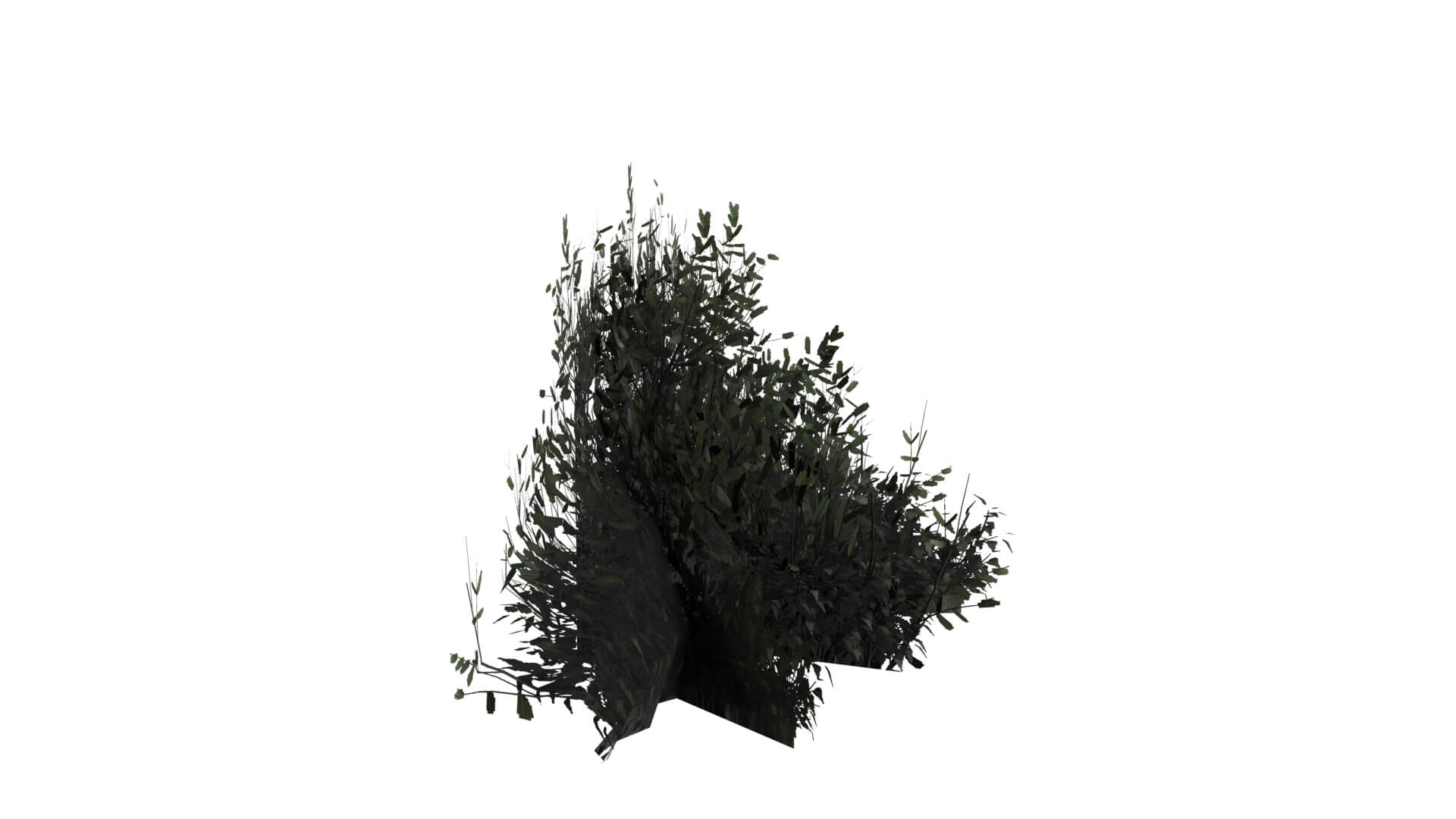 Middle Plant 3D Model