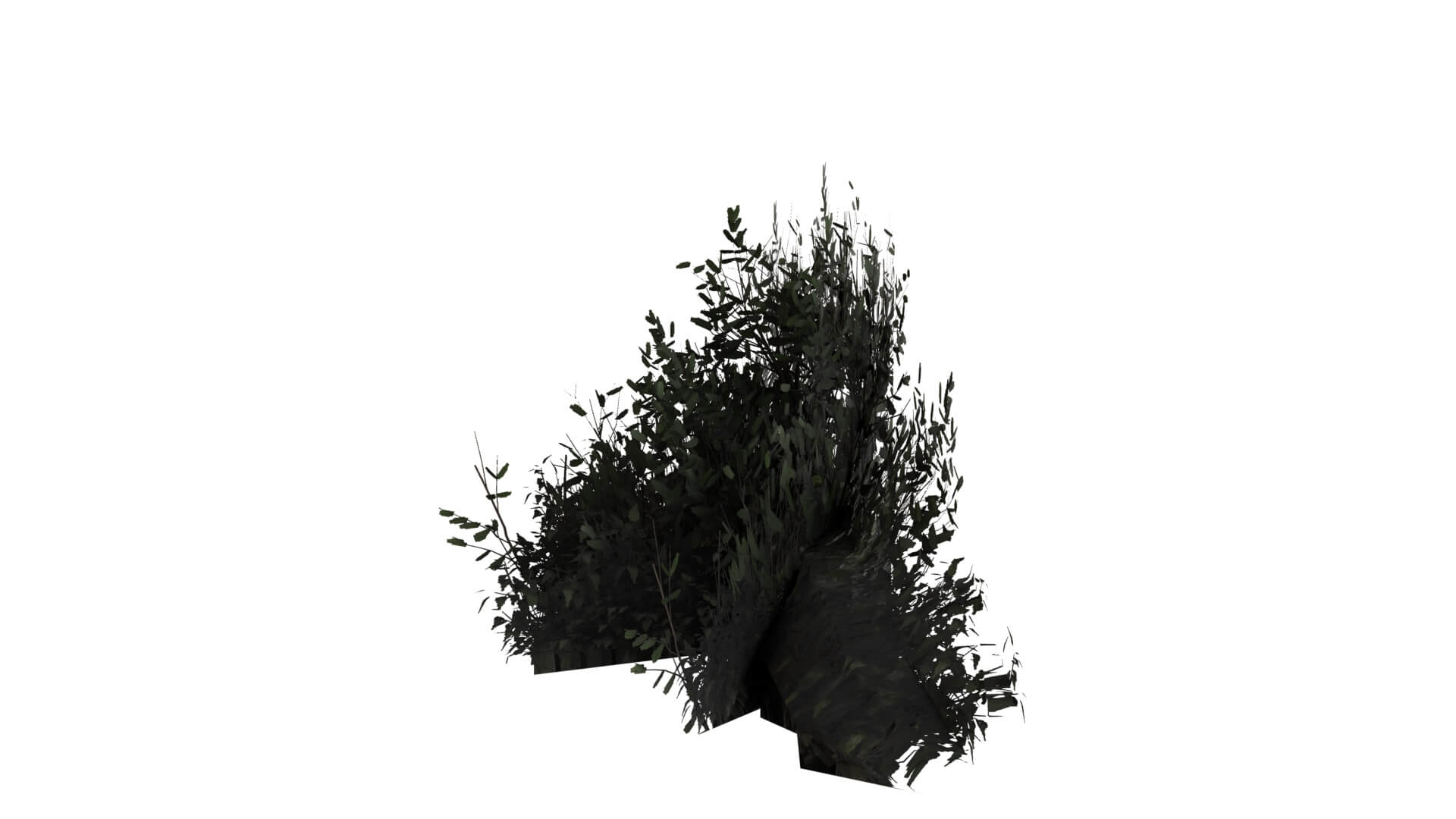 Middle Plant 3D Model