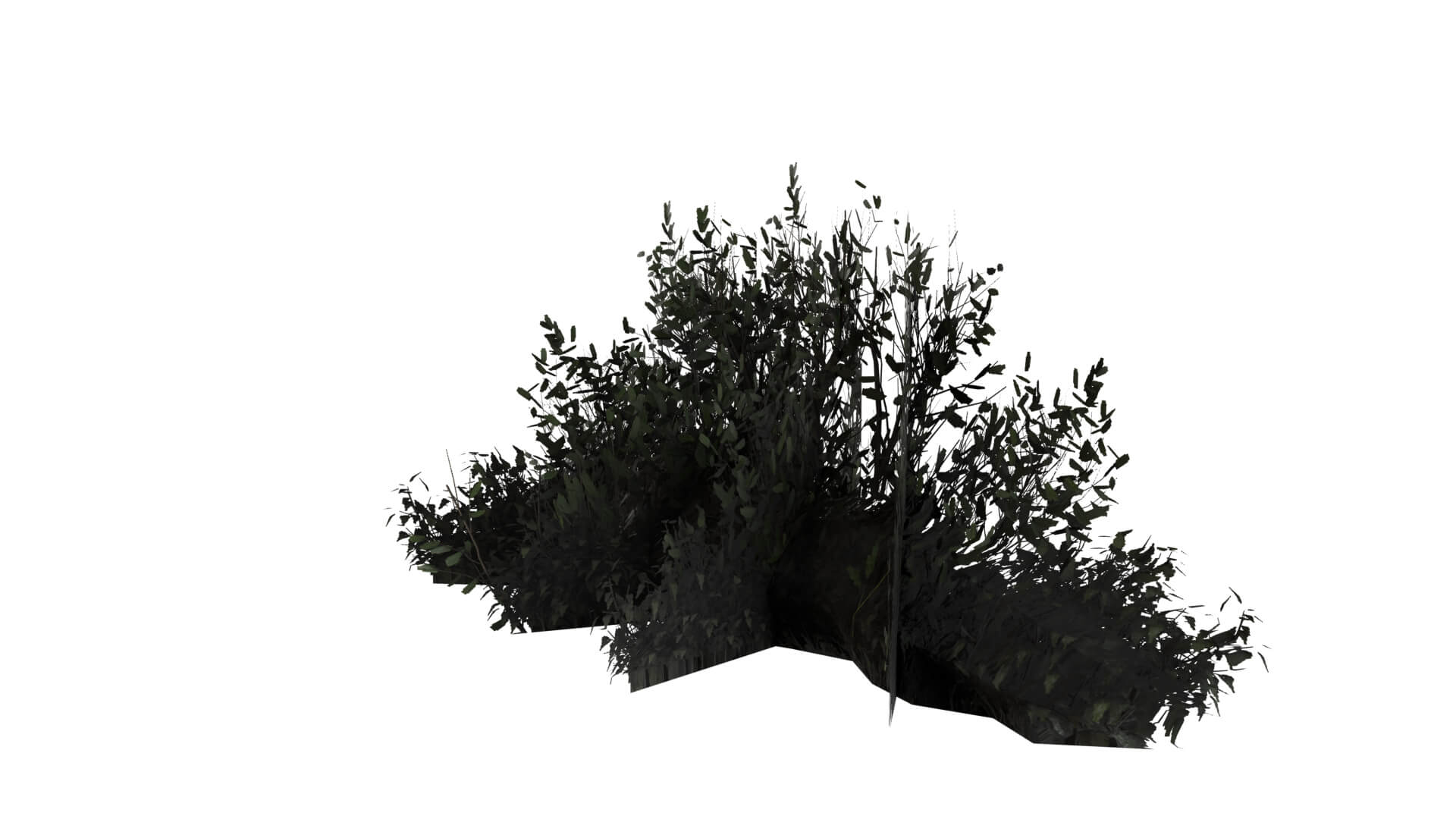 Middle Plant 3D Model