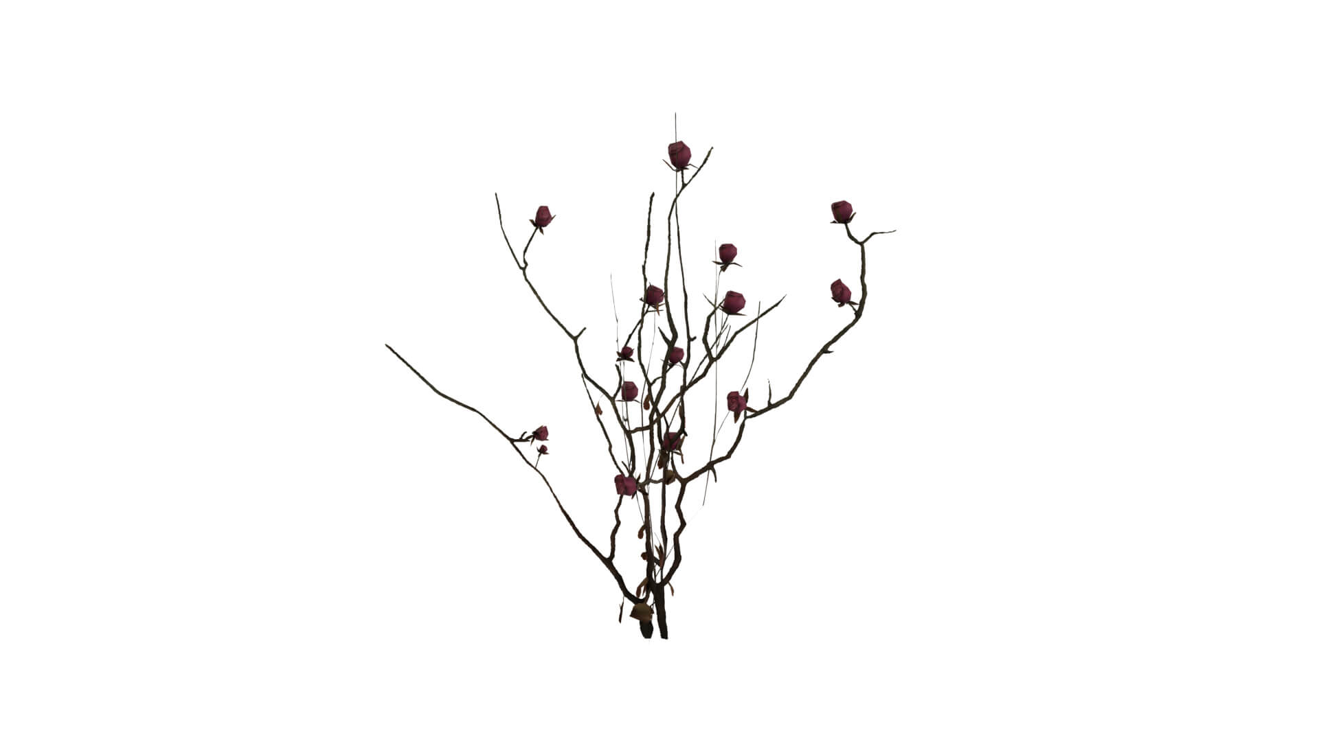 Resident Evil - Nosea Plant 3D Model