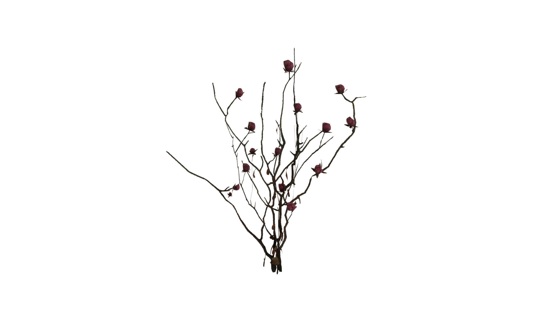 Resident Evil - Nosea Plant 3D Model