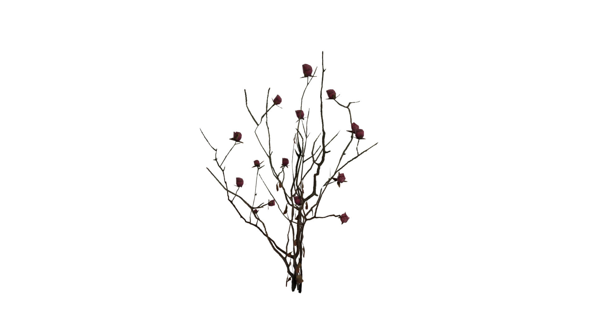 Resident Evil - Nosea Plant 3D Model