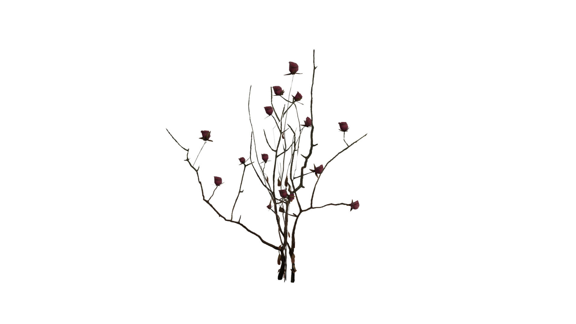 Resident Evil - Nosea Plant 3D Model