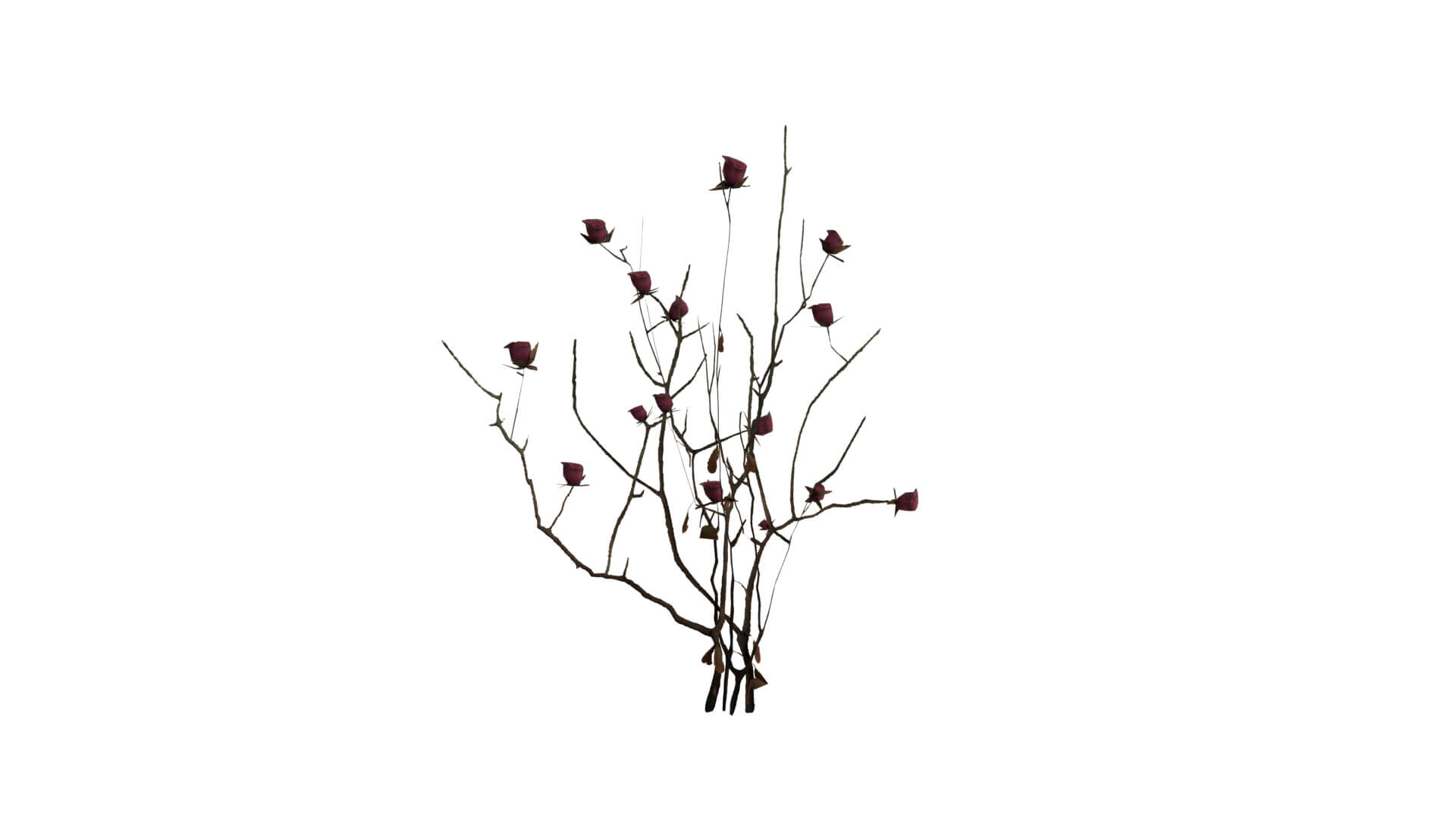 Resident Evil - Nosea Plant 3D Model