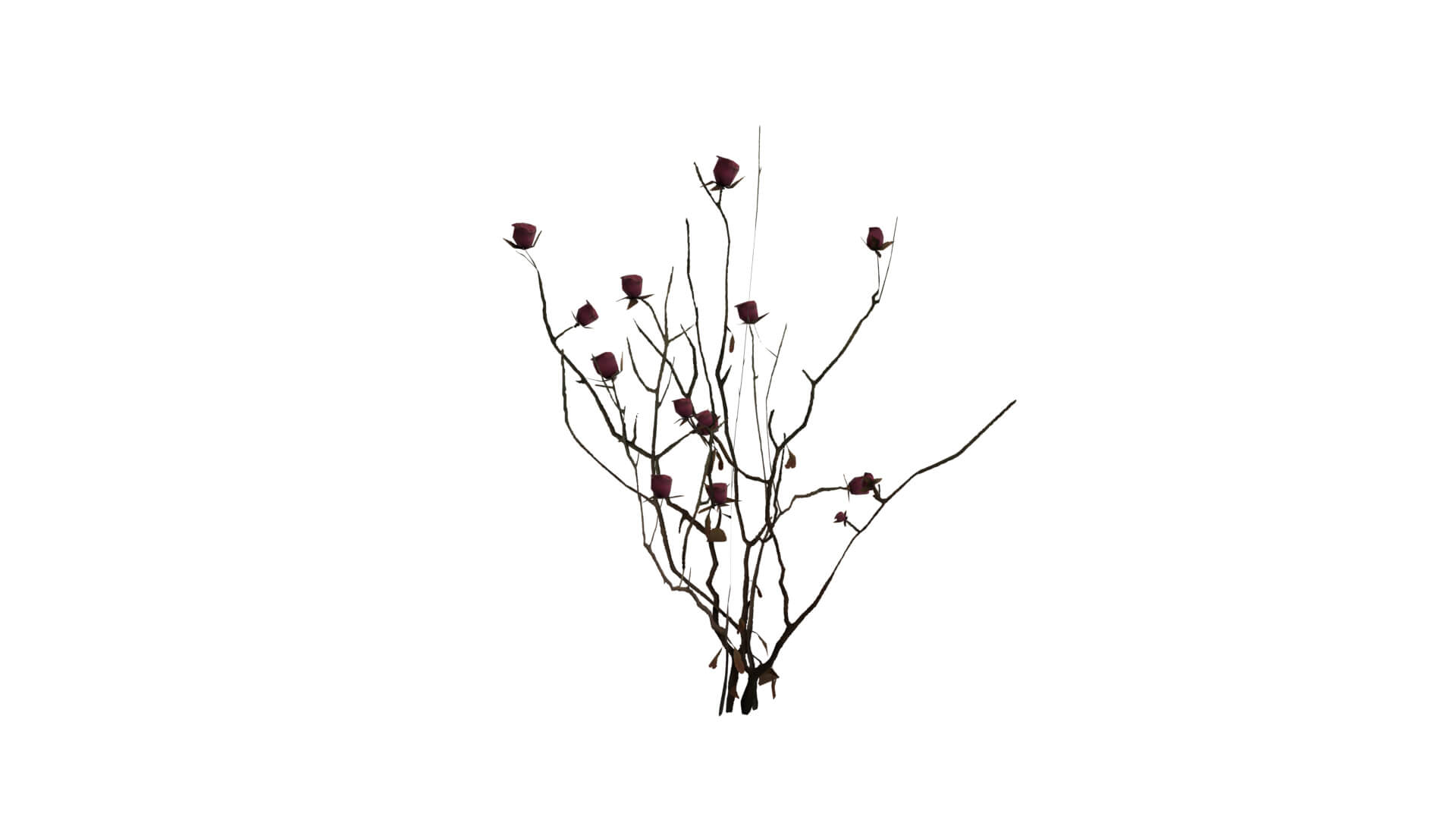 Resident Evil - Nosea Plant 3D Model