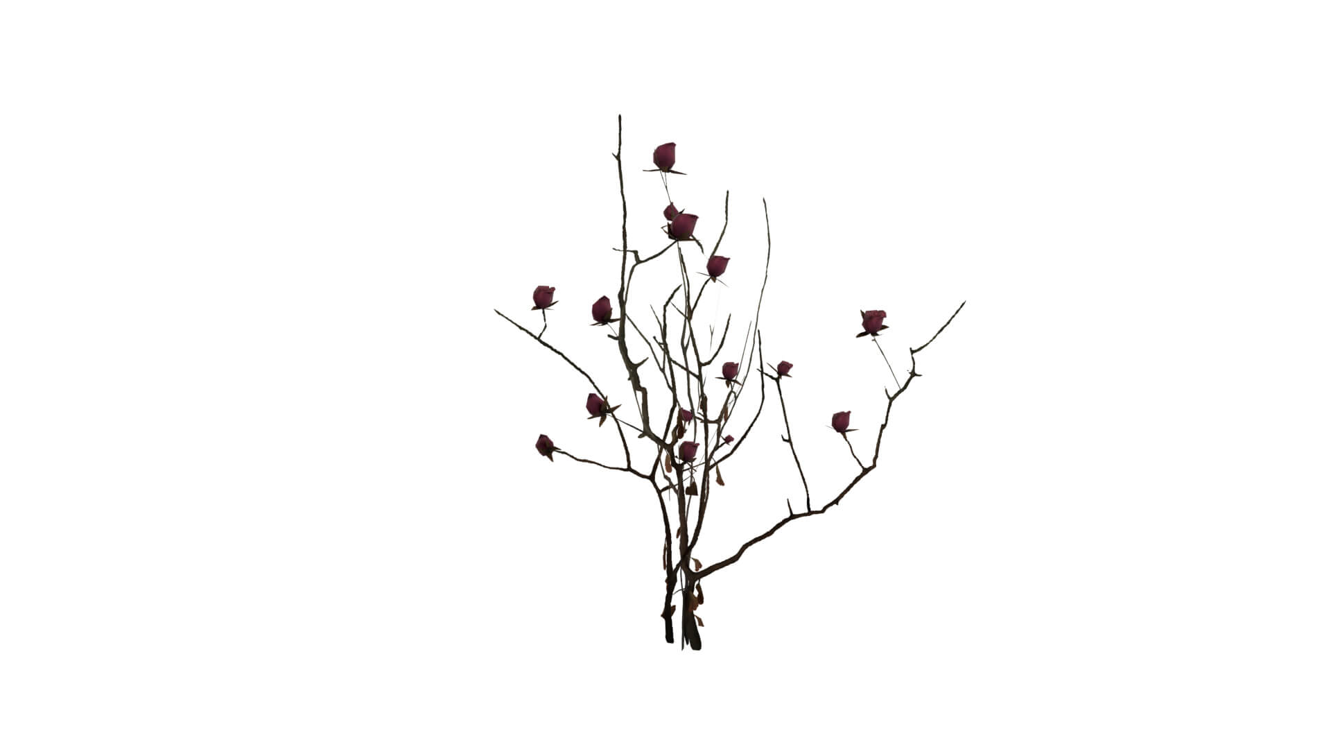 Resident Evil - Nosea Plant 3D Model