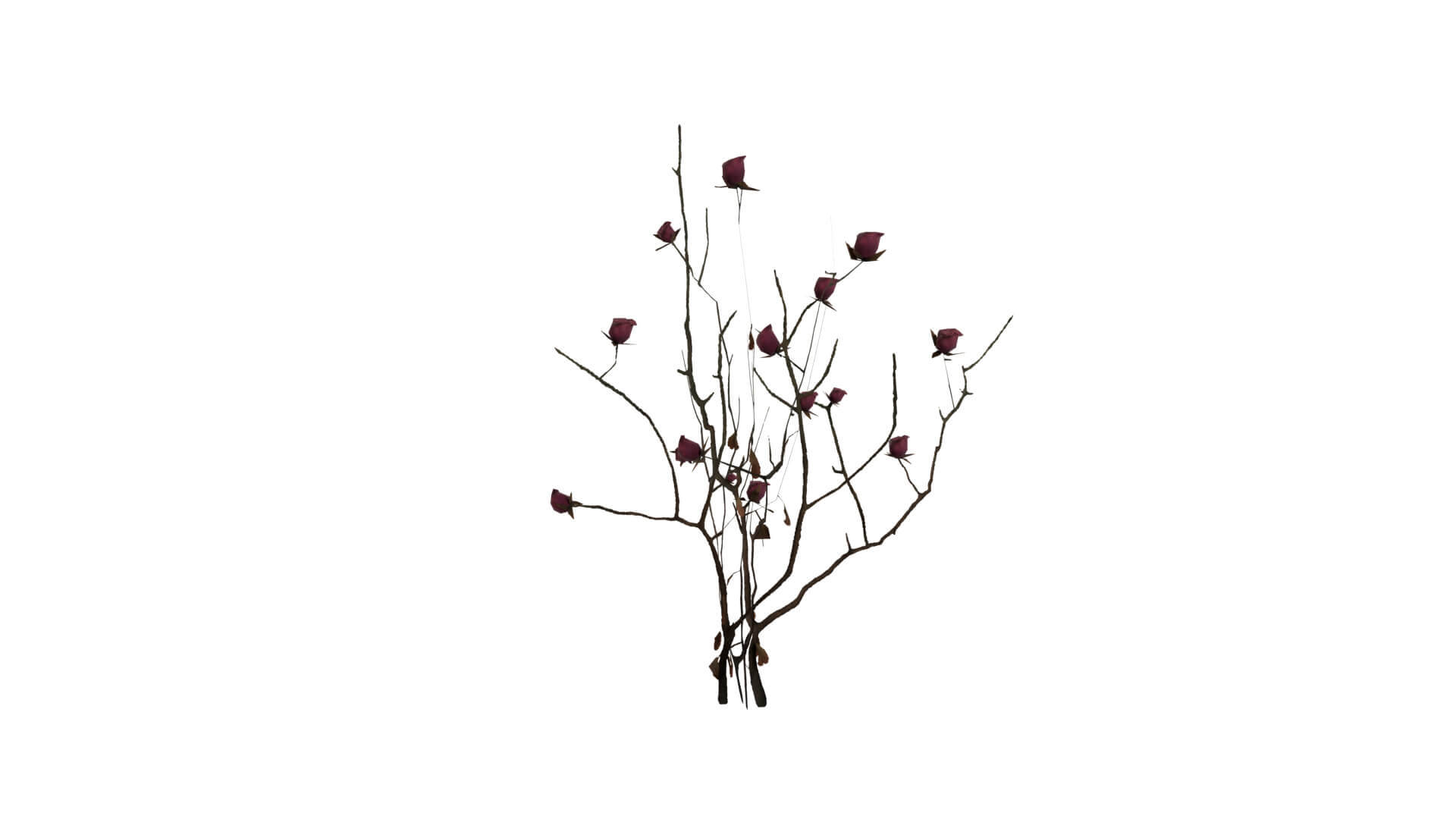 Resident Evil - Nosea Plant 3D Model