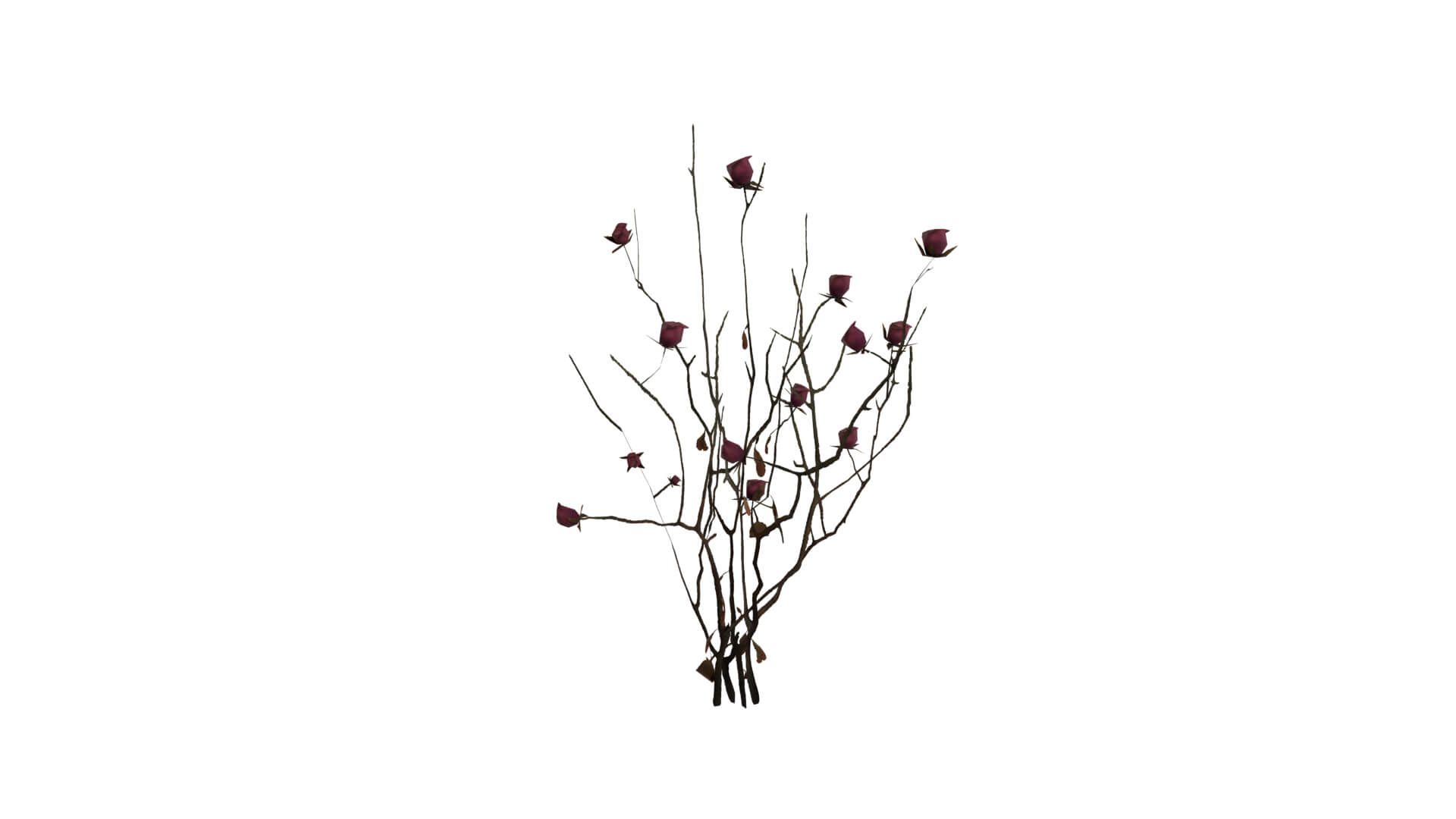 Resident Evil - Nosea Plant 3D Model