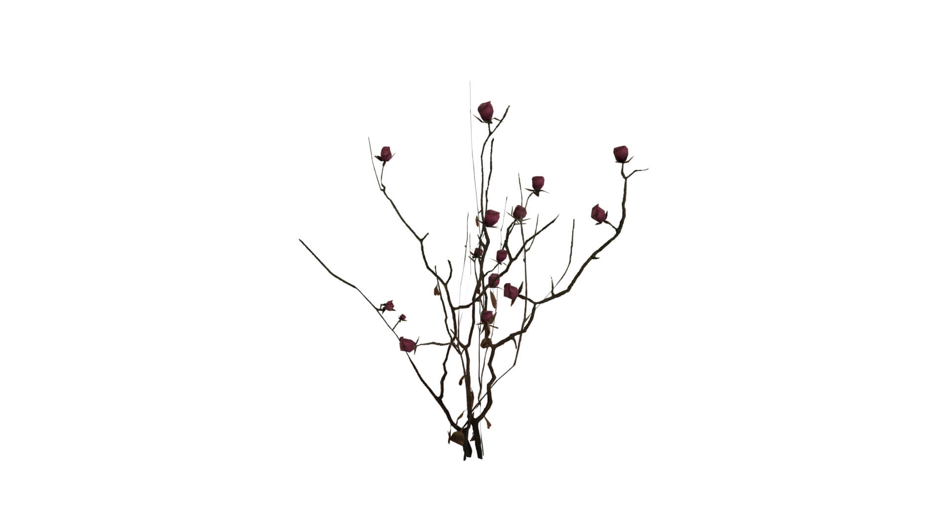 Resident Evil - Nosea Plant 3D Model