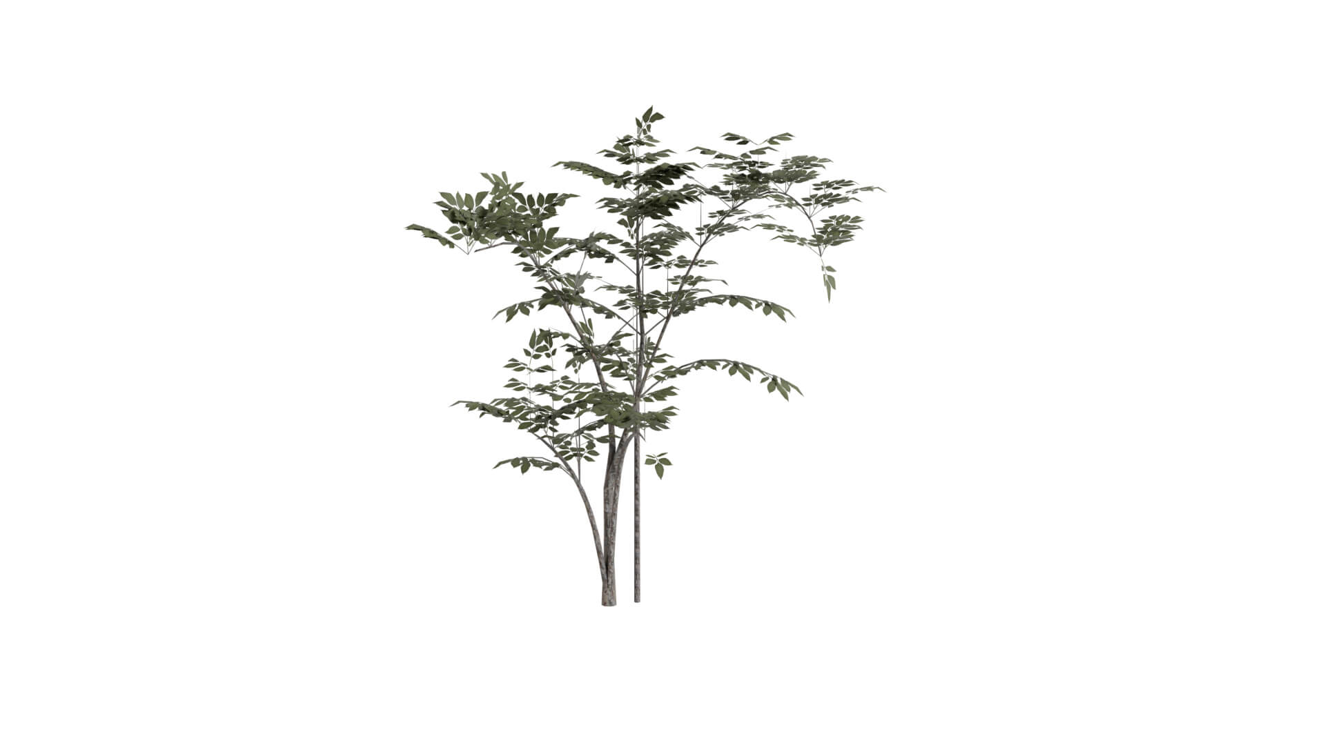Resident Evil - Grass 3D Model