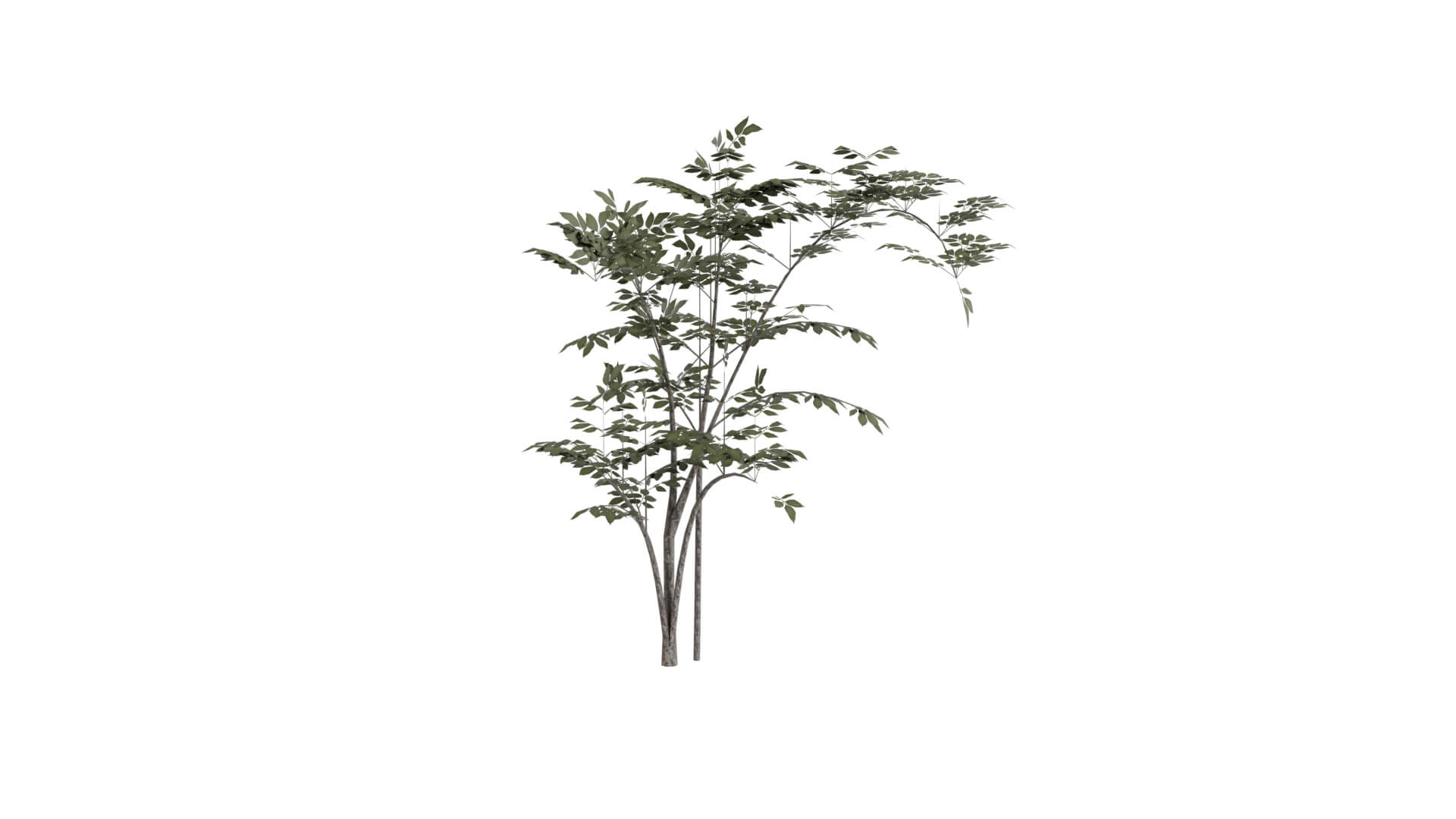 Resident Evil - Grass 3D Model