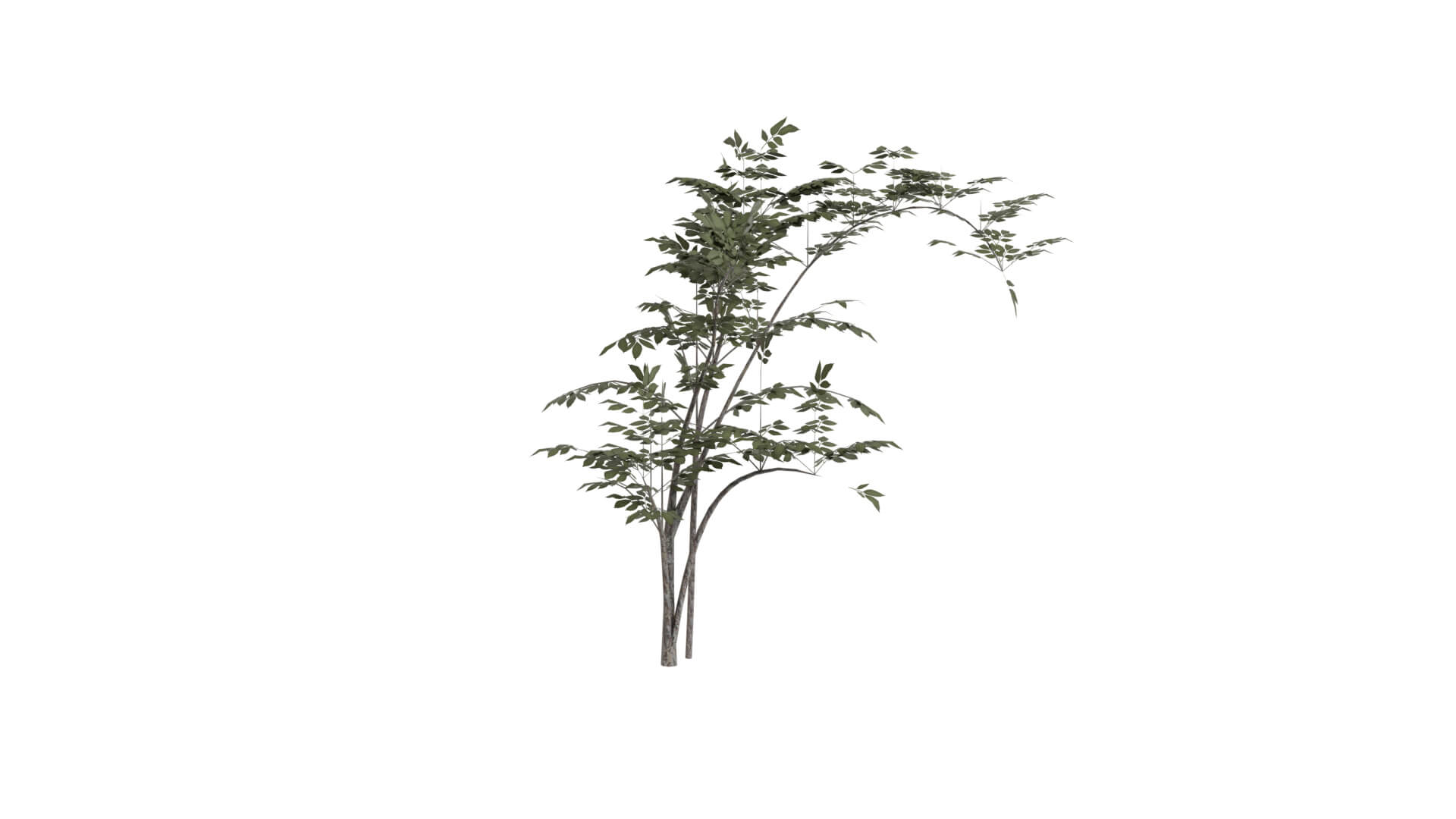 Resident Evil - Grass 3D Model