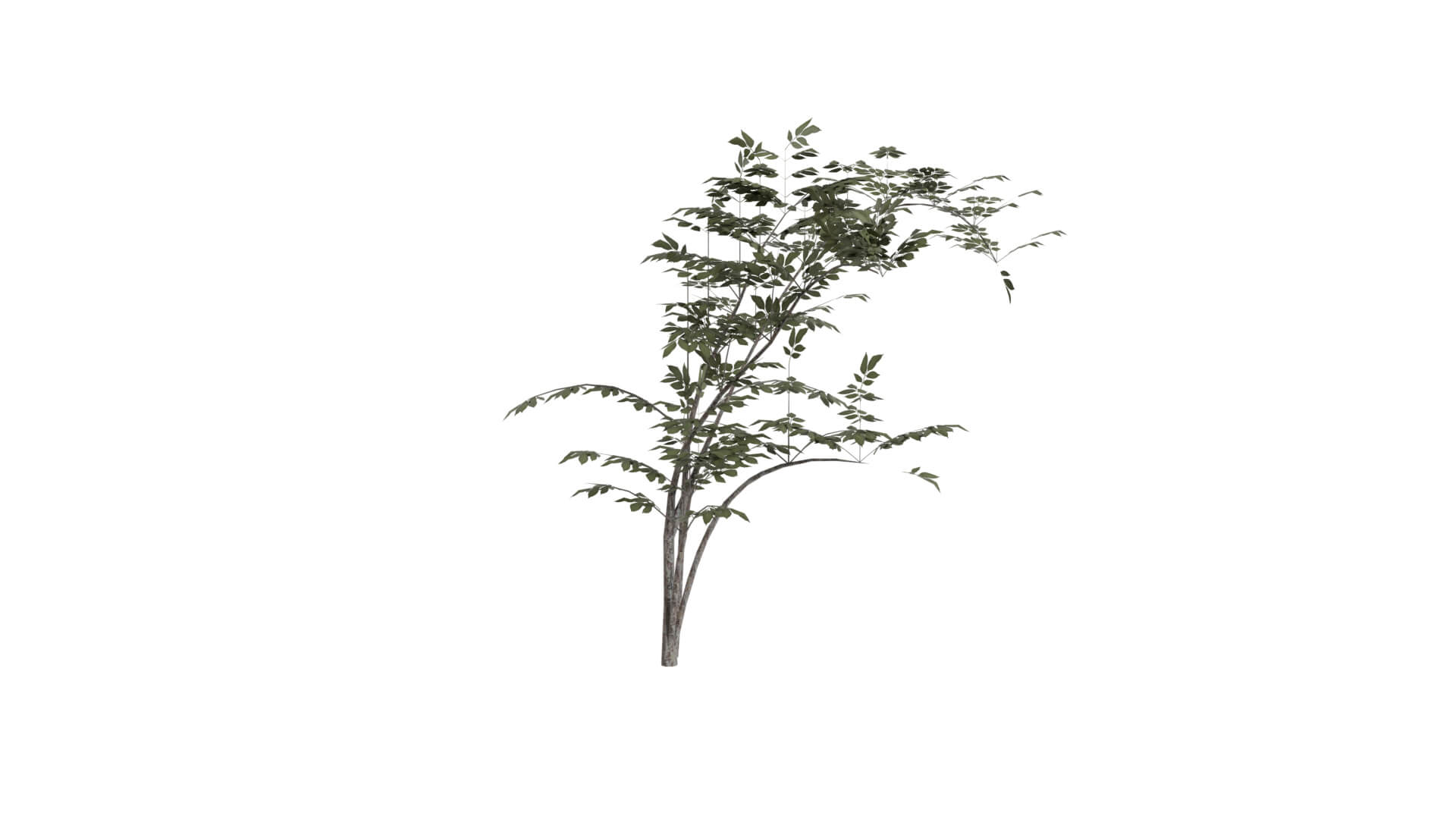 Resident Evil - Grass 3D Model