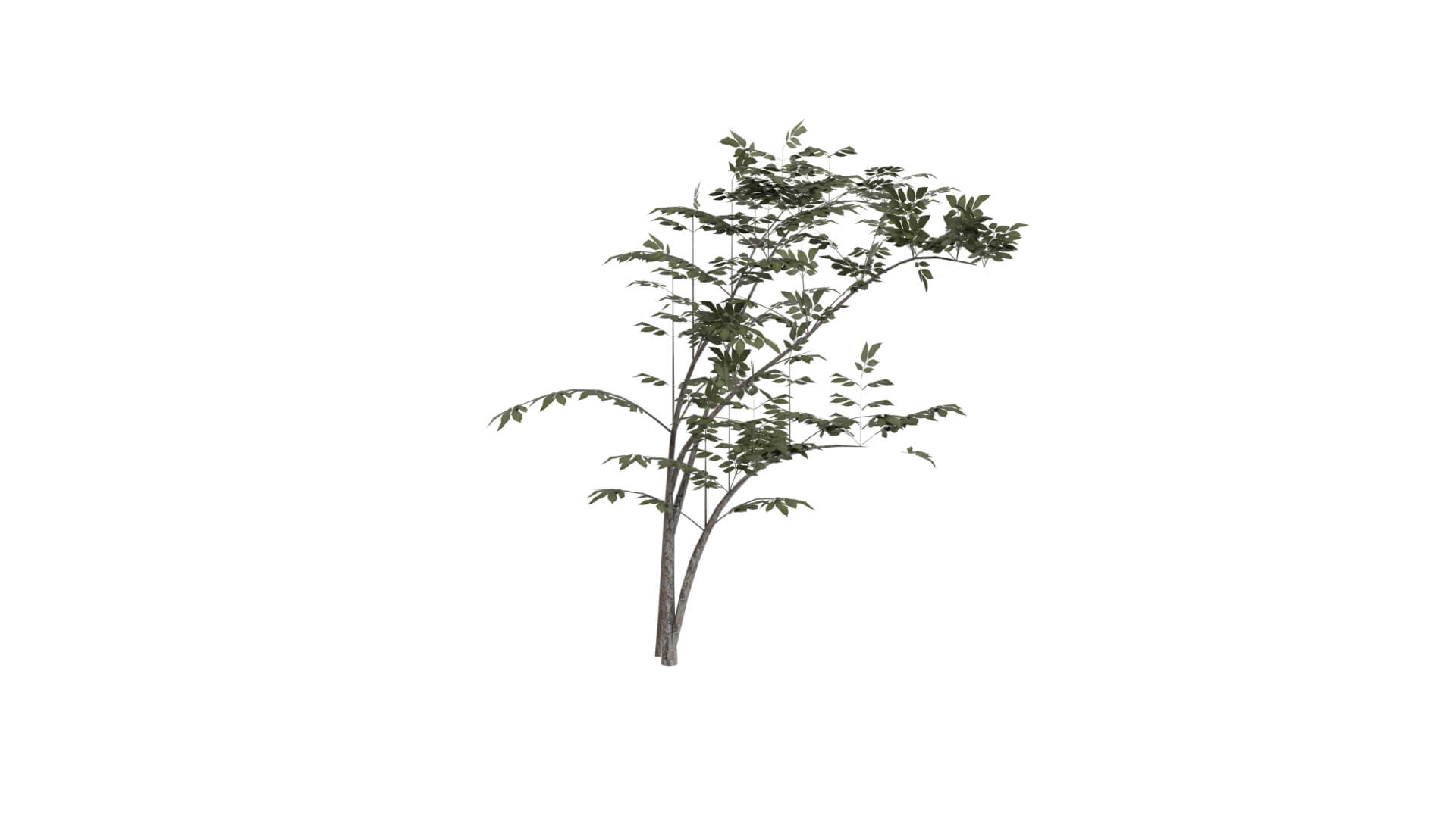Resident Evil - Grass 3D Model