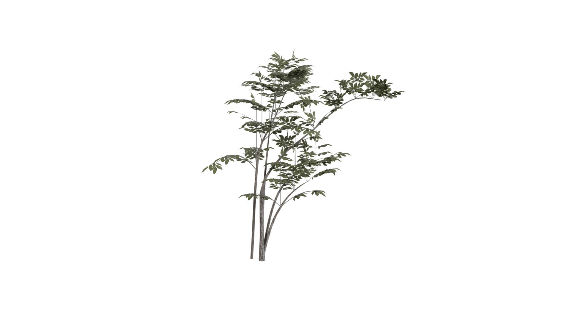 Resident Evil - Grass 3D Model