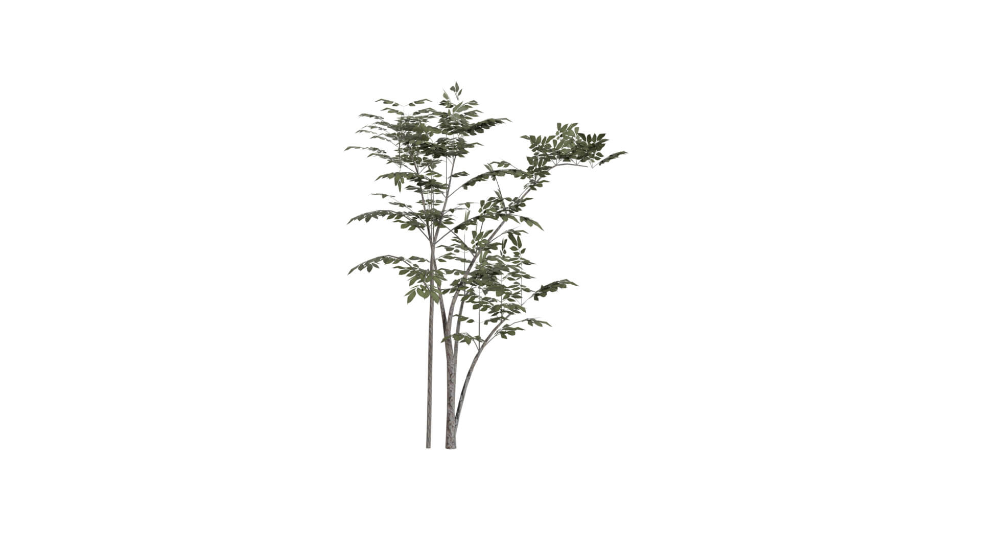Resident Evil - Grass 3D Model