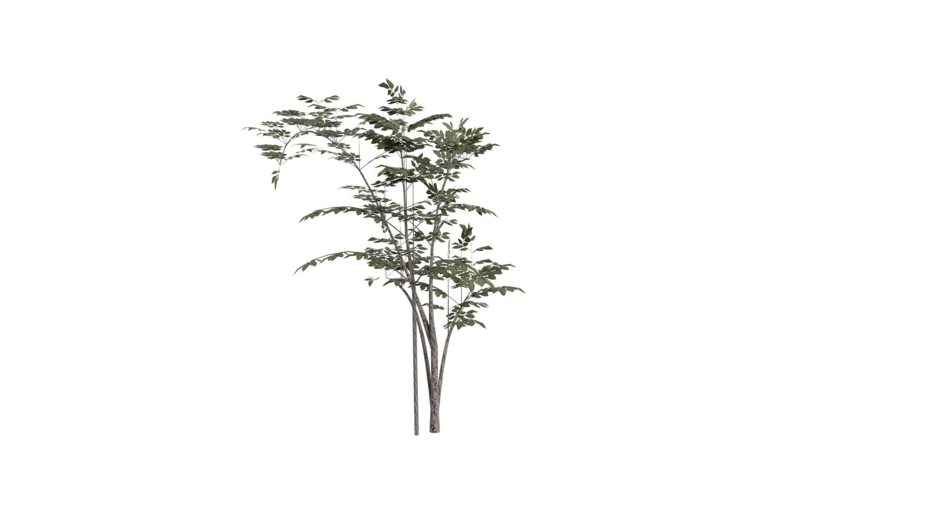 Resident Evil - Grass 3D Model