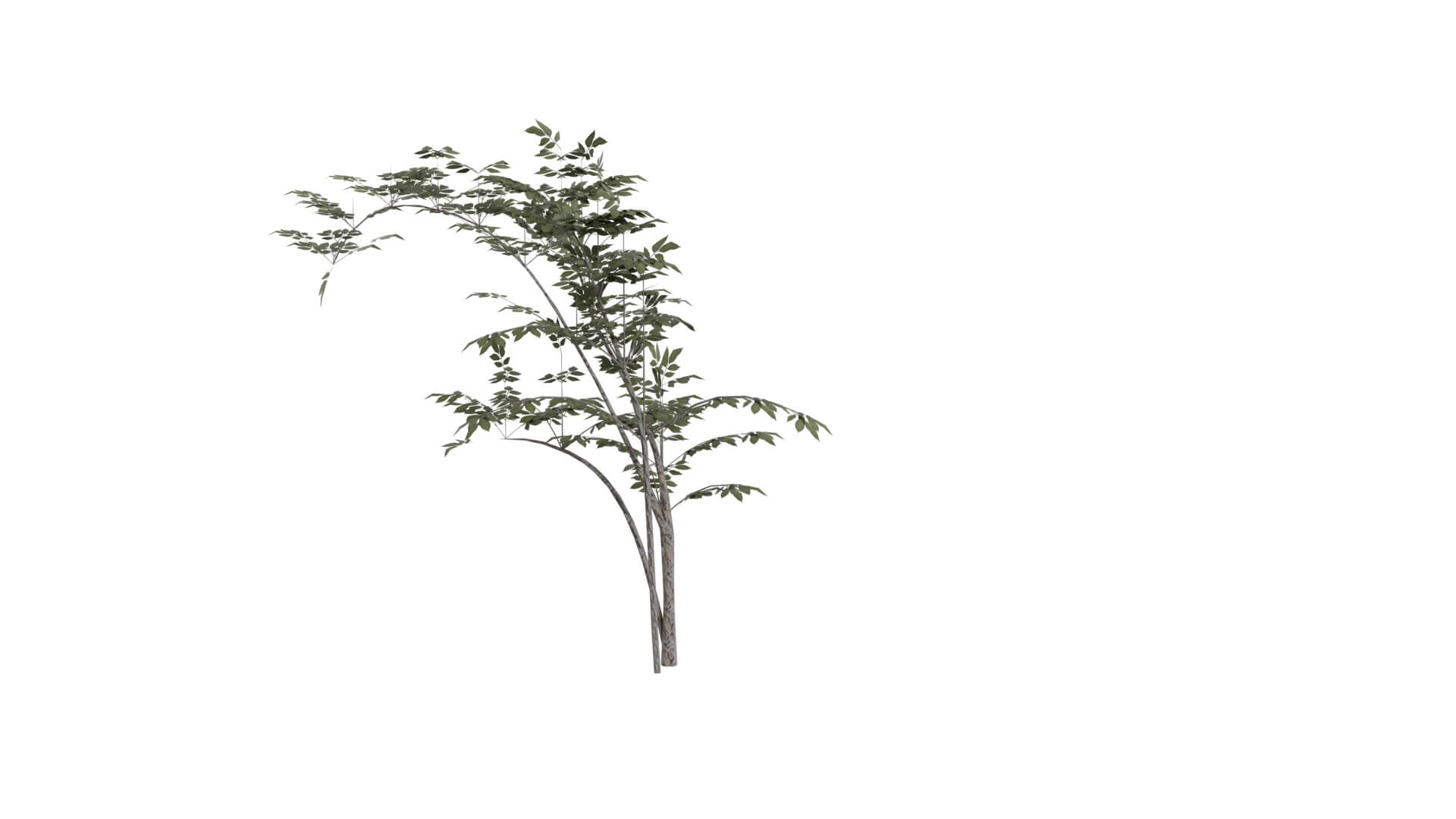 Resident Evil - Grass 3D Model