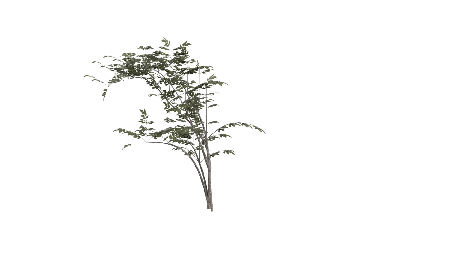 Resident Evil - Grass 3D Model