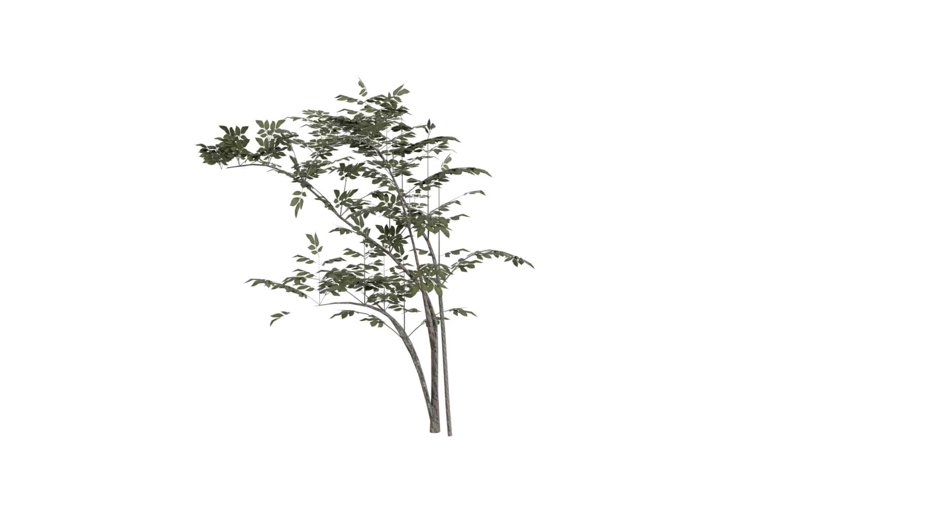 Resident Evil - Grass 3D Model