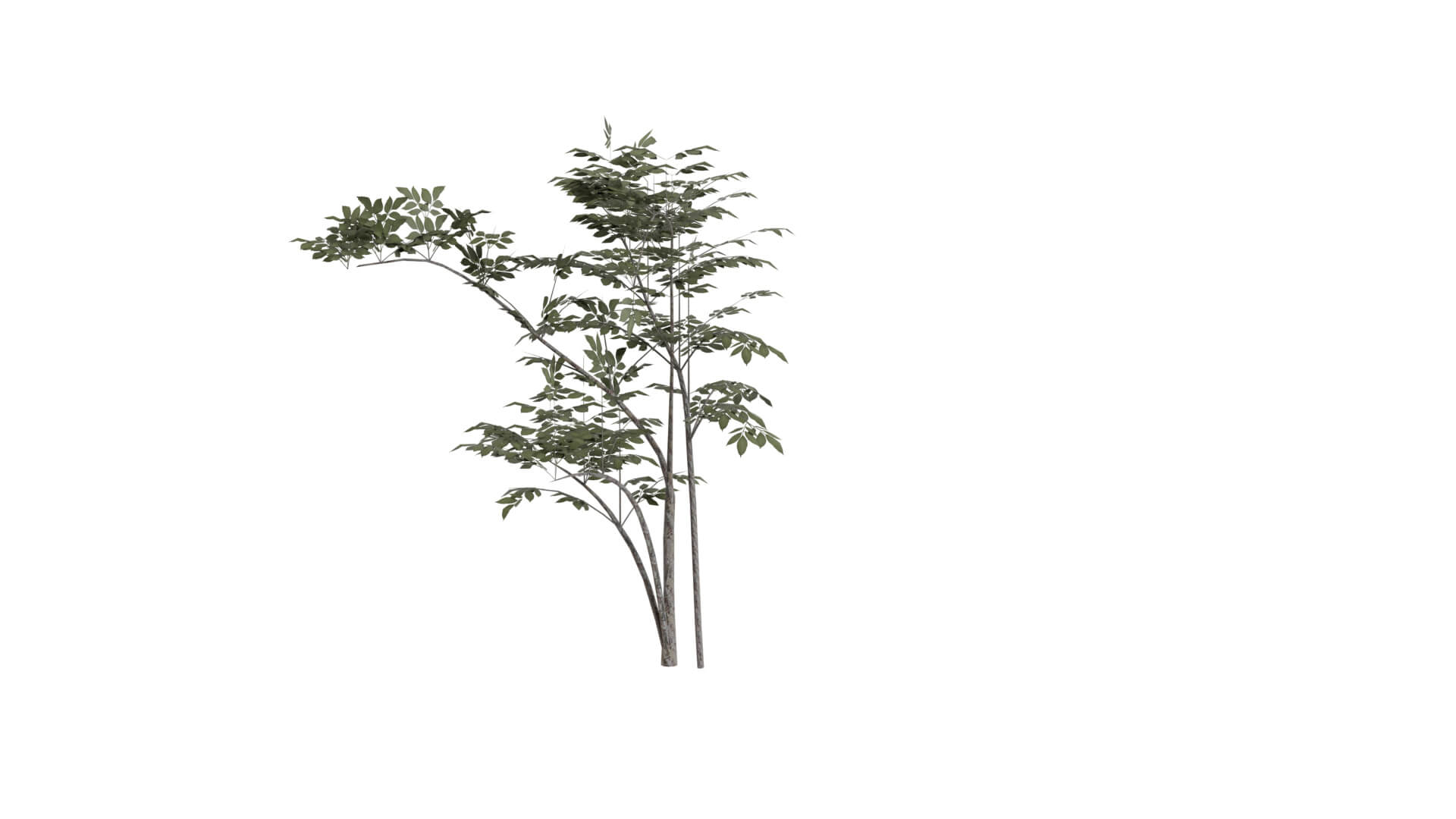 Resident Evil - Grass 3D Model