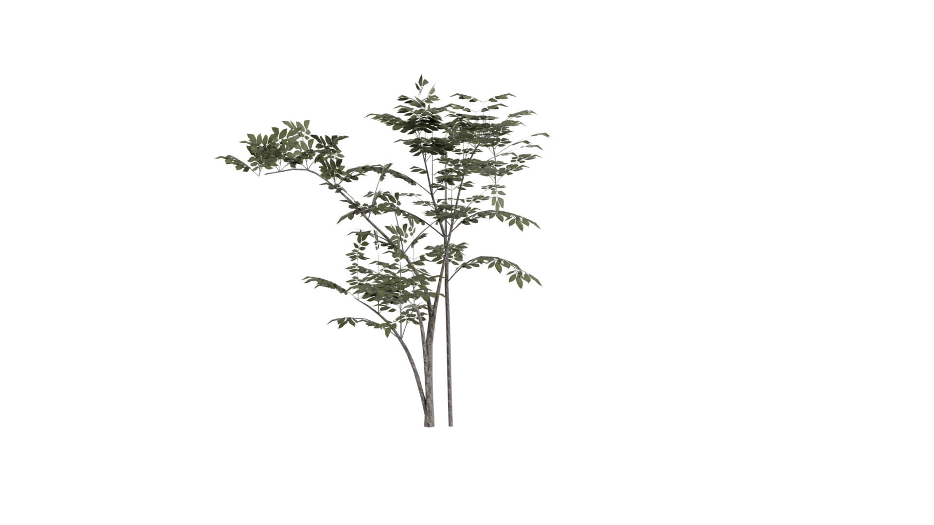 Resident Evil - Grass 3D Model