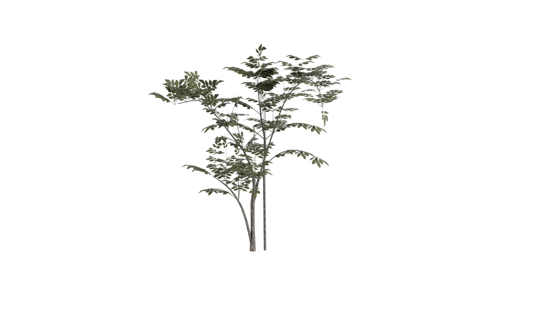 Resident Evil - Grass 3D Model