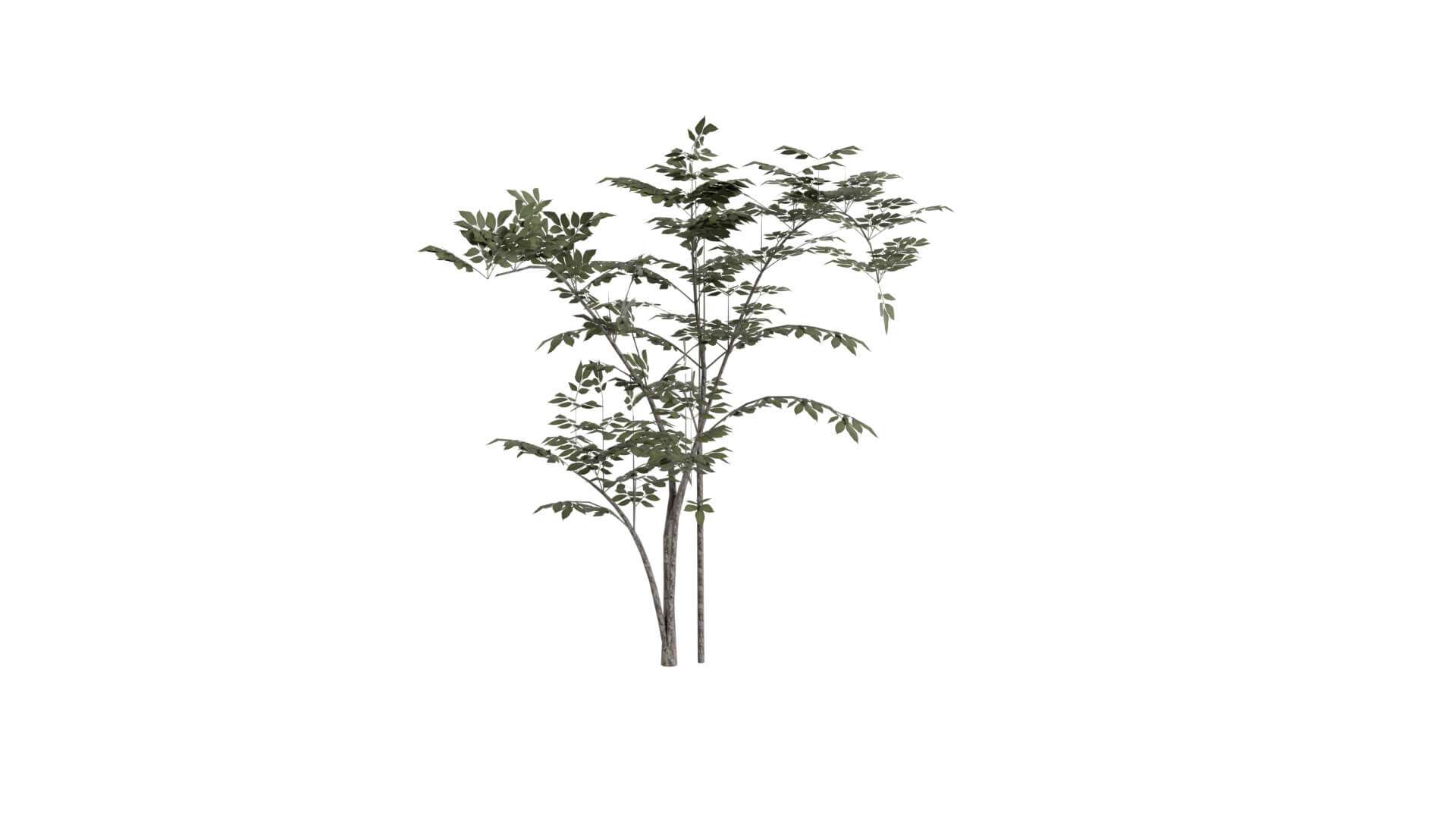 Resident Evil - Grass 3D Model