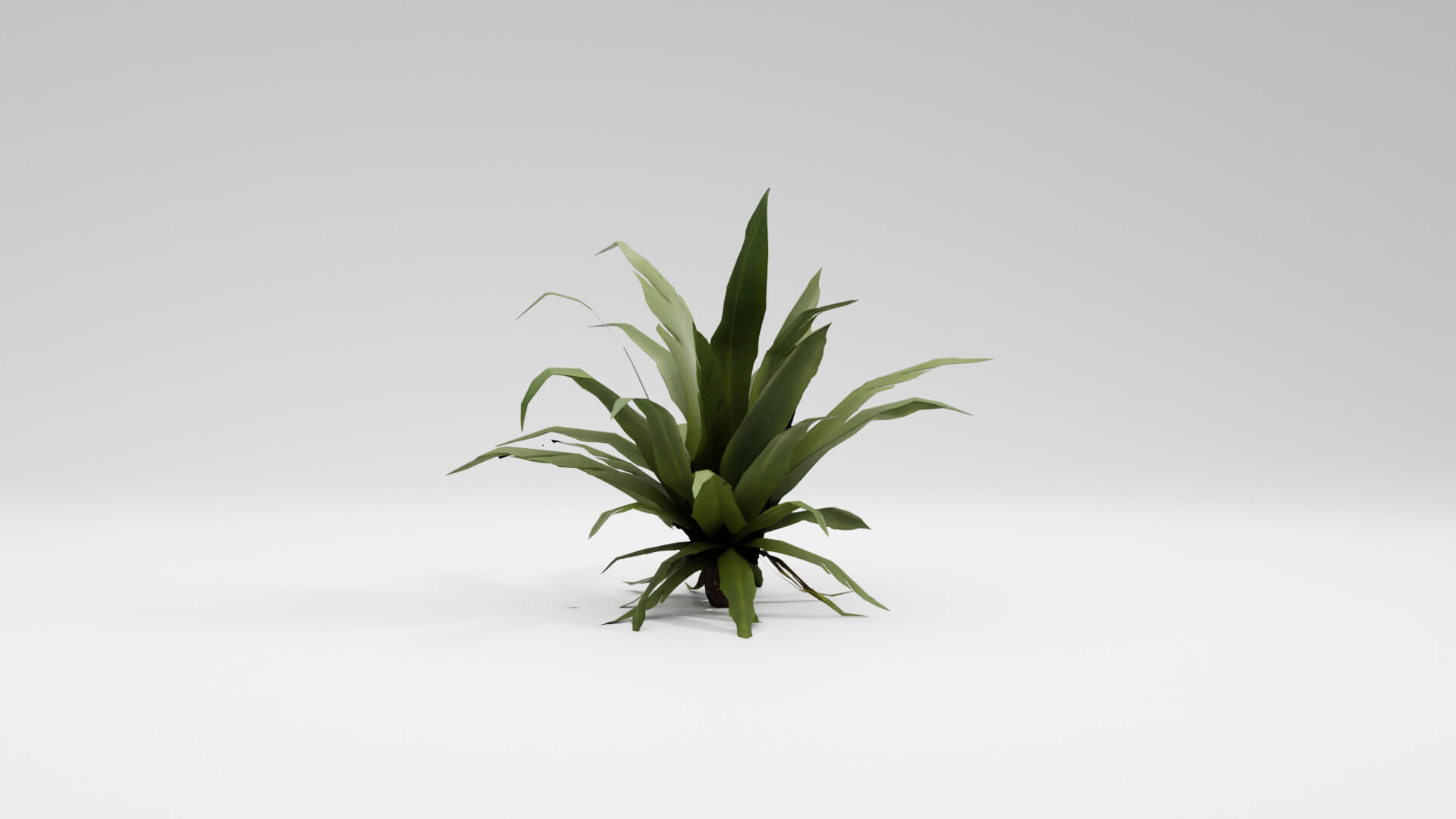 Resident Evil Tropical Plant-02 3D Model