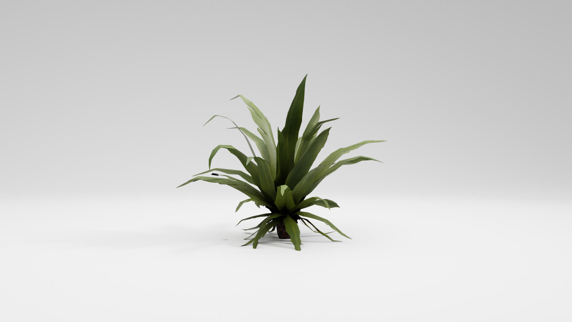 Resident Evil Tropical Plant-02 3D Model