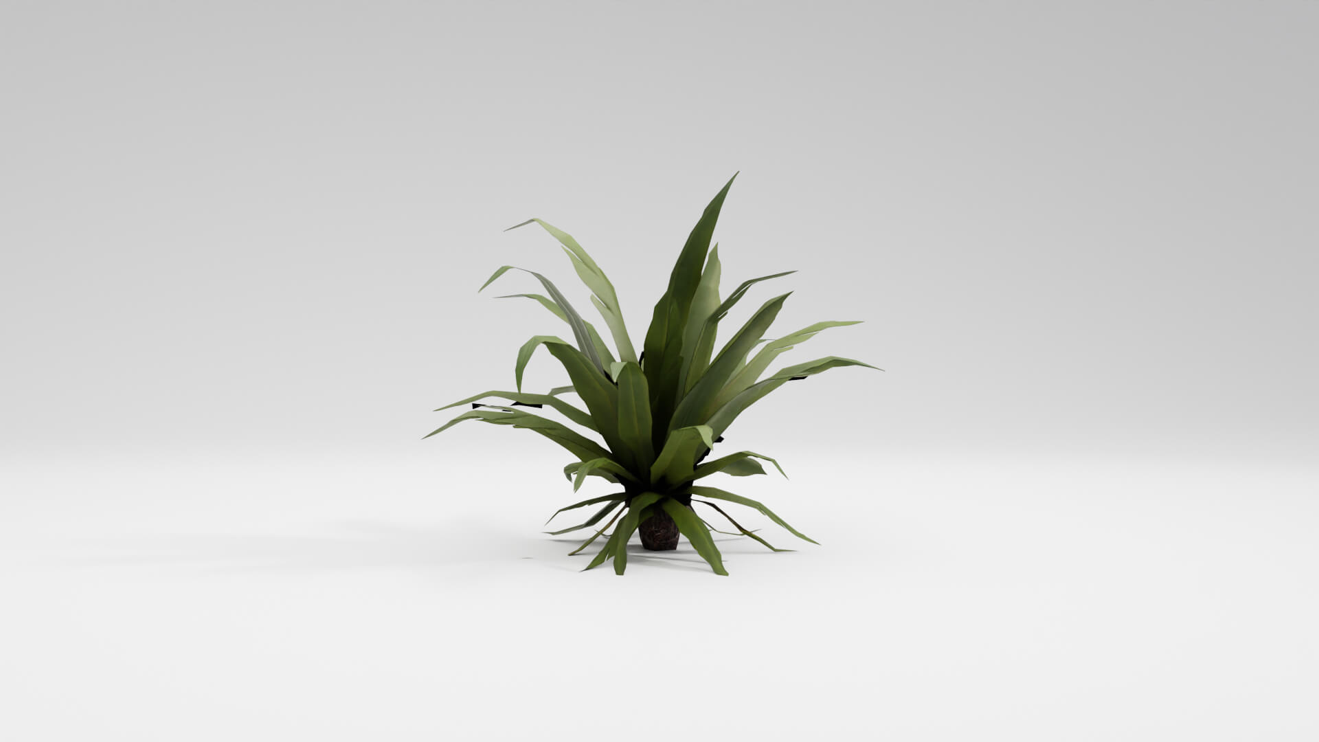 Resident Evil Tropical Plant-02 3D Model