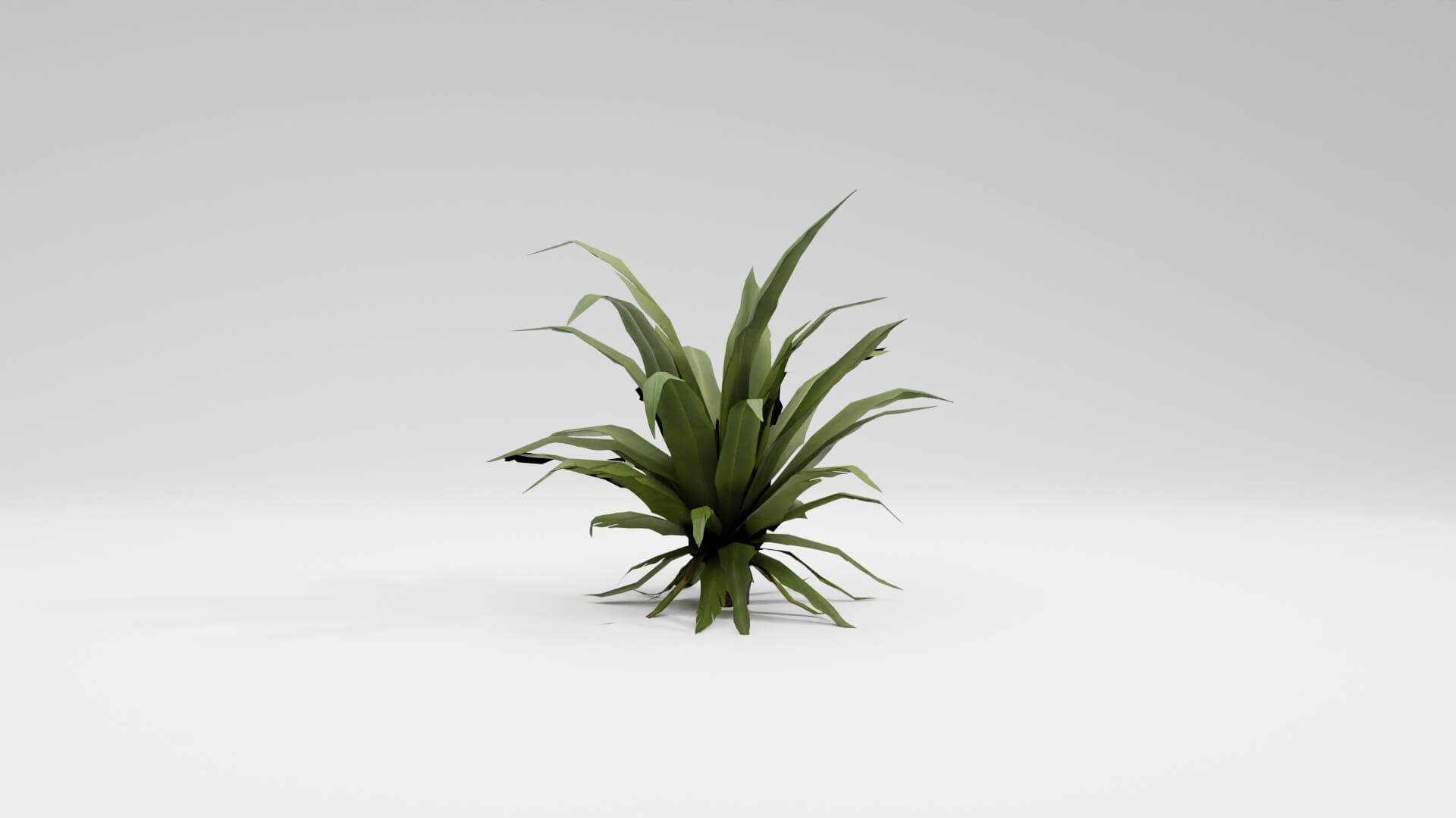 Resident Evil Tropical Plant-02 3D Model