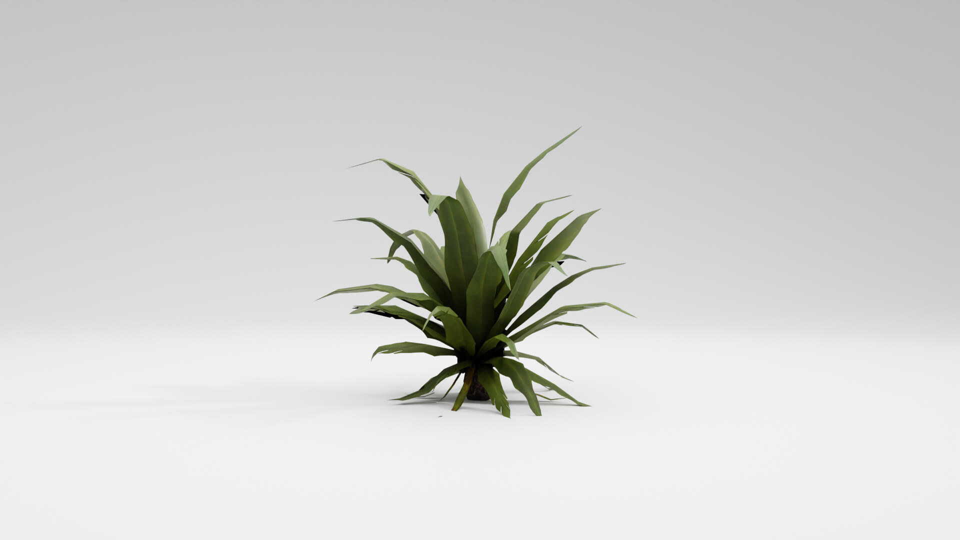 Resident Evil Tropical Plant-02 3D Model